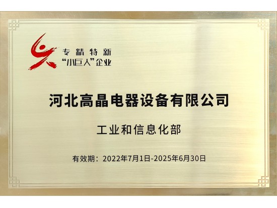 專(zhuān)精特新小巨人企業(yè)